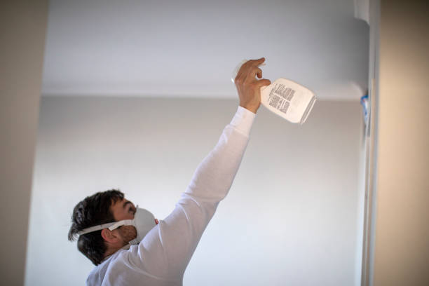 Best Mold Cleaning Services  in Forest Heights, MD