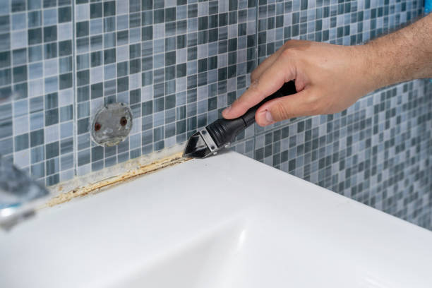 Best Local Mold Removal Service  in Forest Heights, MD