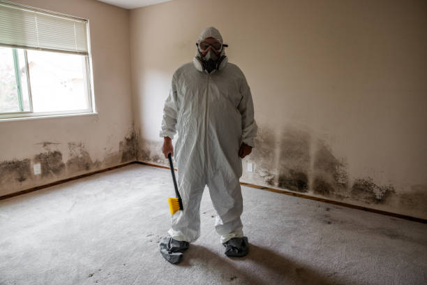Best Crawl Space Mold Removal  in Forest Heights, MD